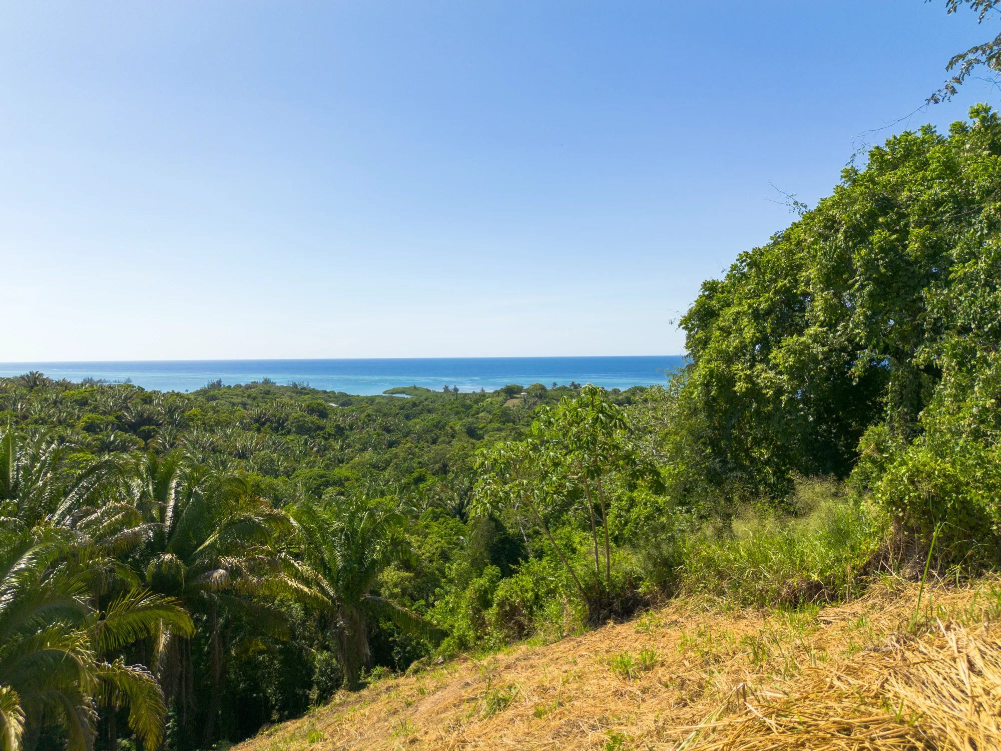 Politilly Bight, Lot #2 — 0.50 Acre — exterior photo 19 of 20