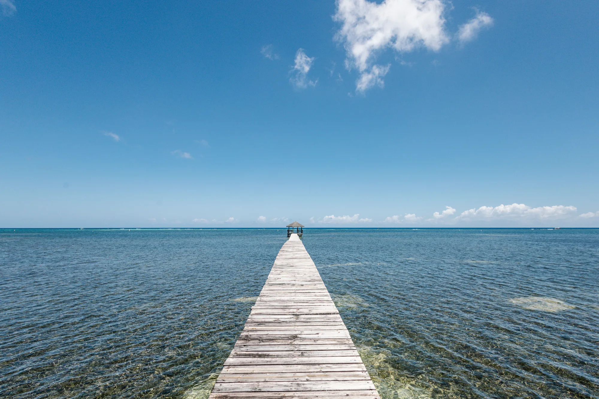 Beachfront Living & Income Retreat — exterior photo 13 of 29